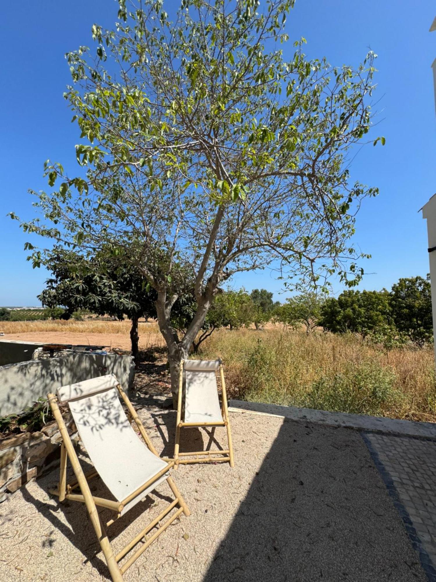 Quinta Castor Villa Вила Нова де Касела Екстериор снимка