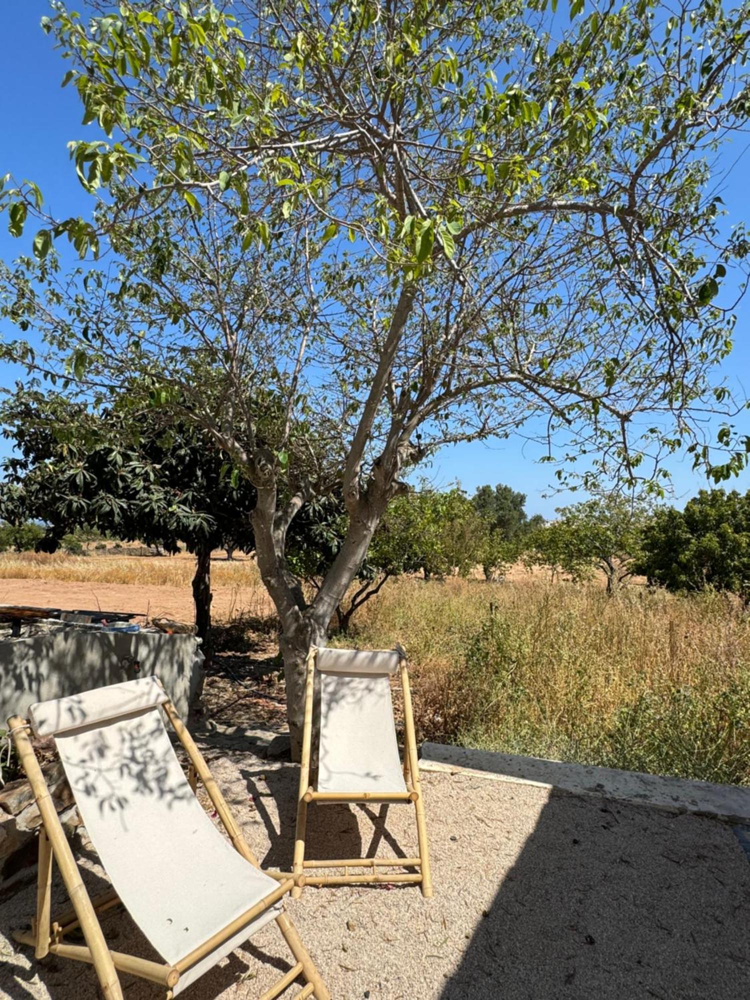 Quinta Castor Villa Вила Нова де Касела Екстериор снимка