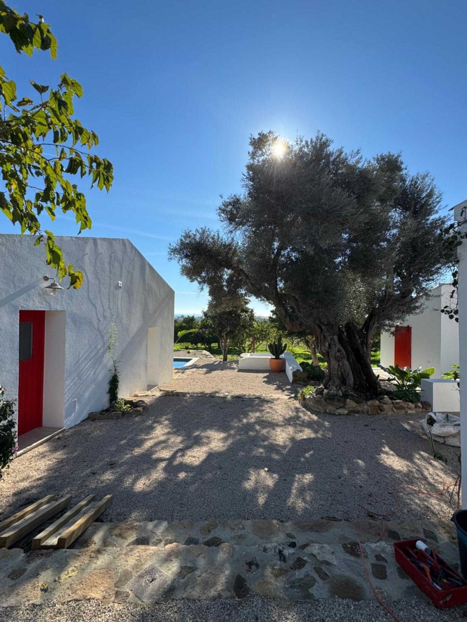 Quinta Castor Villa Вила Нова де Касела Екстериор снимка