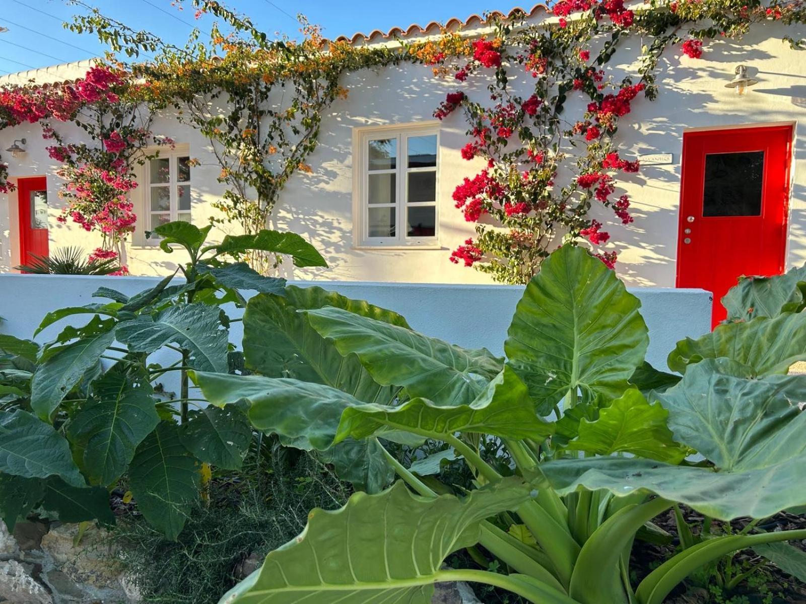 Quinta Castor Villa Вила Нова де Касела Екстериор снимка